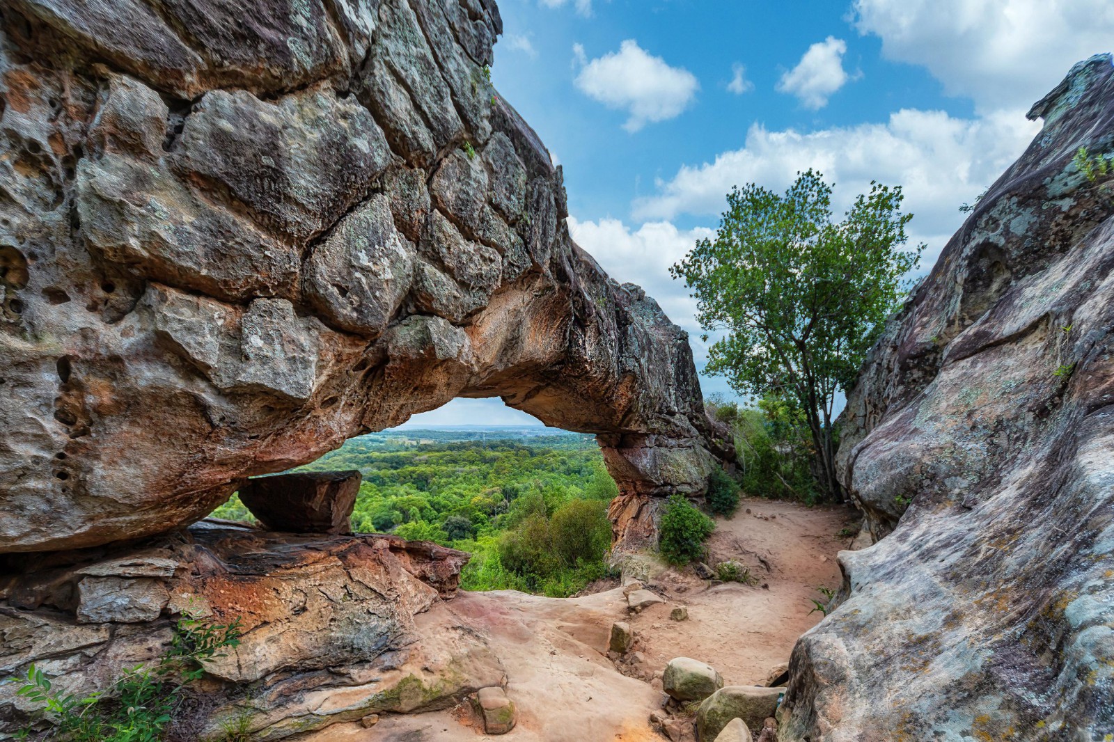 Meditation is not a sanctuary; it is a siege.