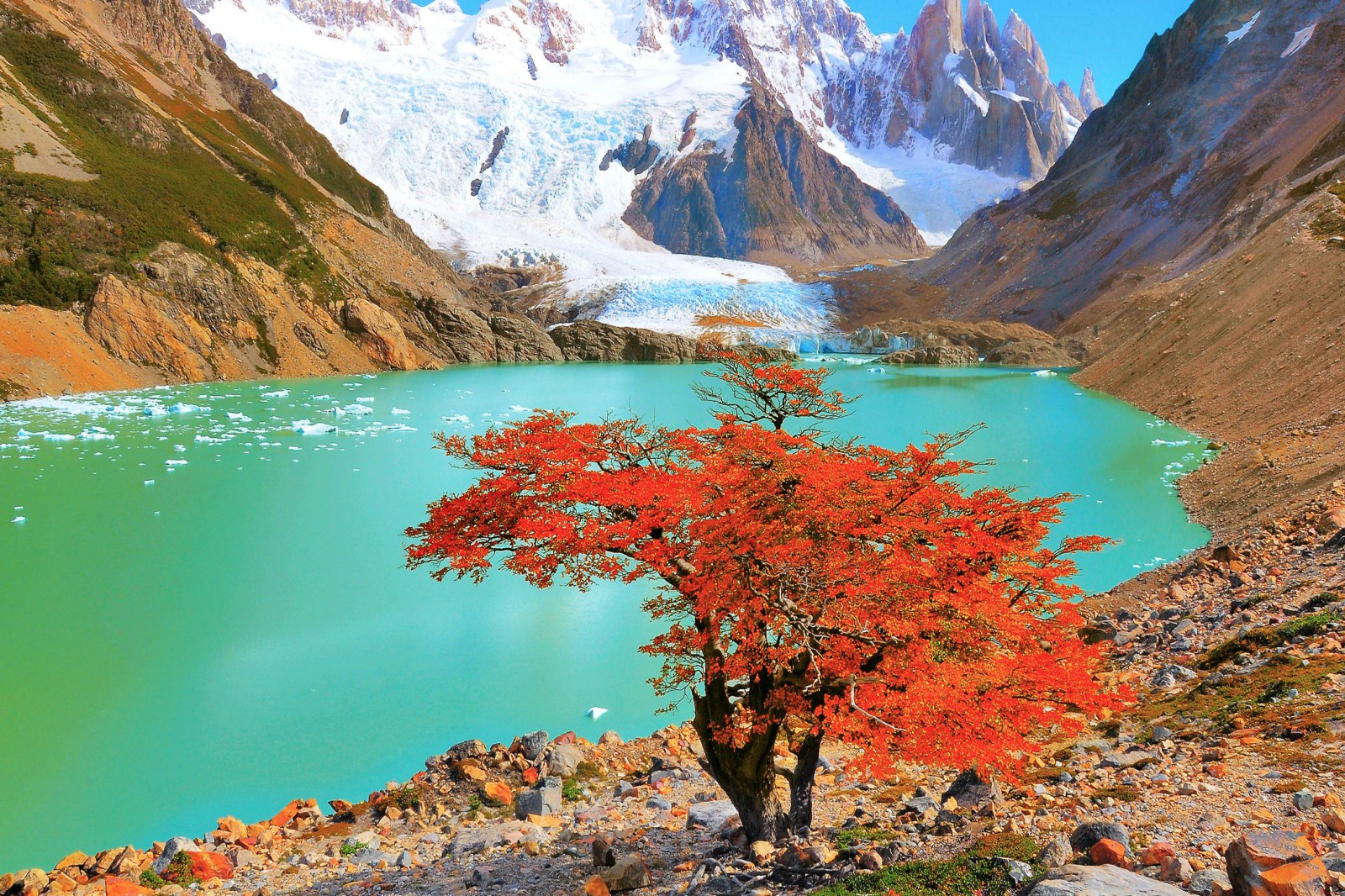 The Patient Heart Forget How To Be Kind